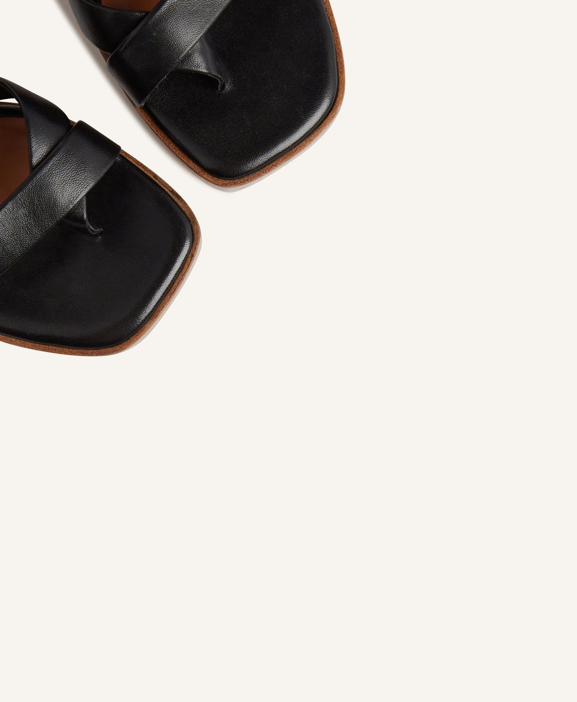 Dandelion Sandal - Sandals Dress | Womens Shoes - Mi Piaci