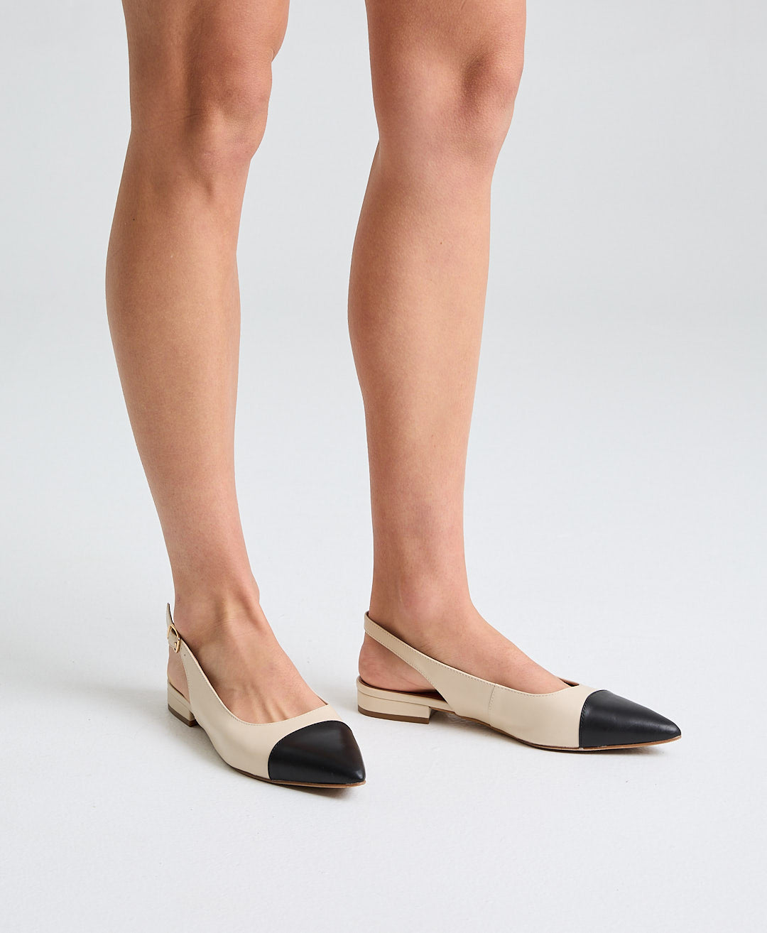 Etzel Slingback - Flats Dress | Womens Shoes - Mi Piaci